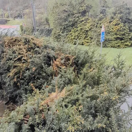 منزل ريفي Vue Sur La Foret A Proximite De La Gare