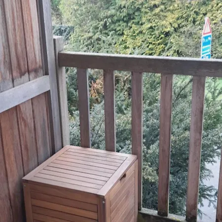 Vue Sur La Foret A Proximite De La Gare